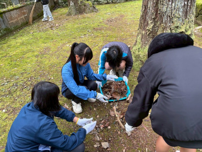 CD2F0E96-3807-41C6-AC0B-3555F216FC00